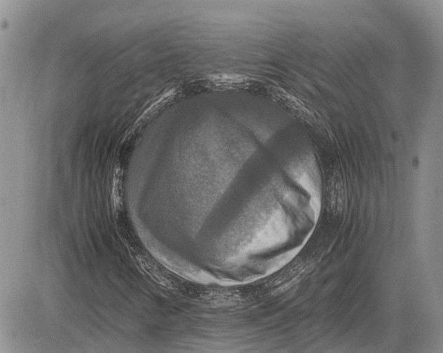 X0000081591346200702051254