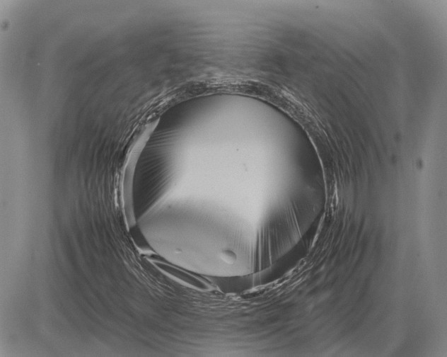 X0000081591348200702051254