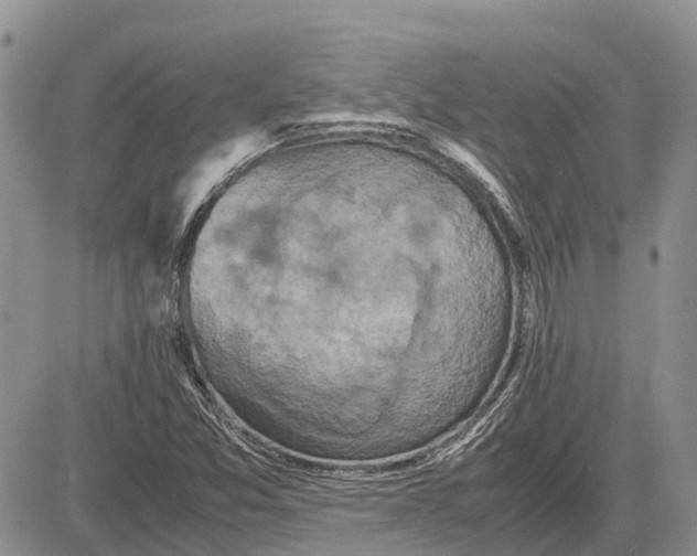 X0000081591357200702051254