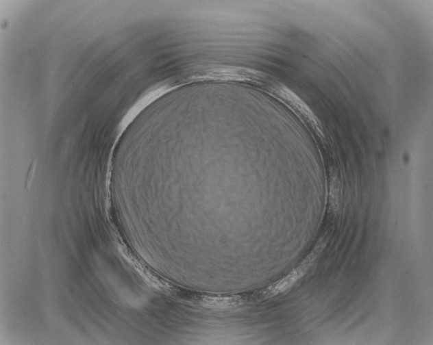X0000081591378200702051253