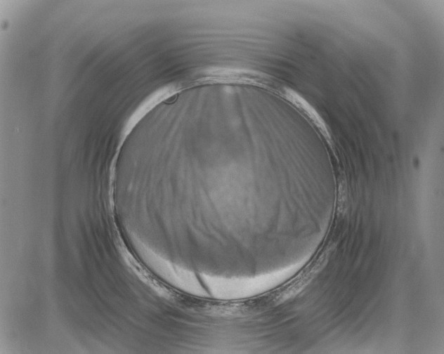 X0000081591386200702051253