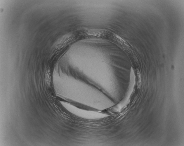 X0000081591394200702051252