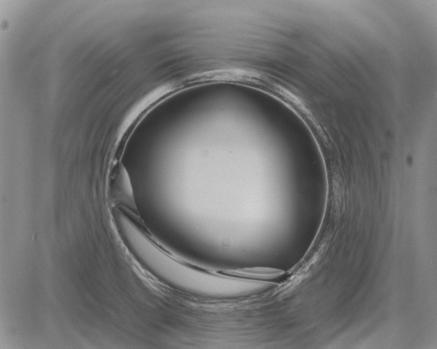 X0000081591426200702051253