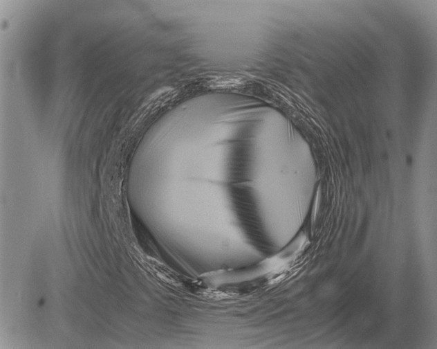 X0000081591441200702051252