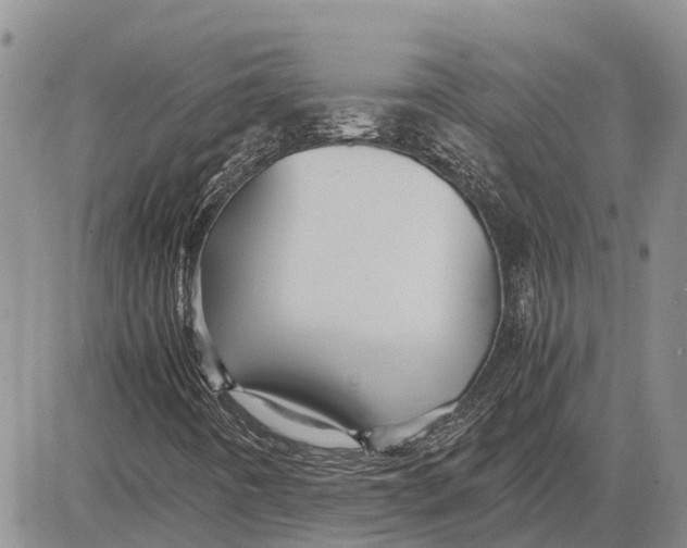 X0000081591442200702051252