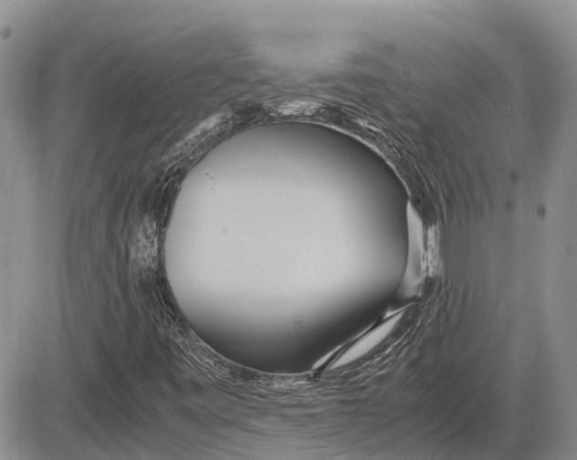 X0000081591443200702051252