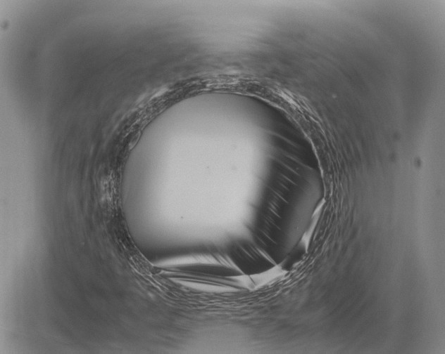 X0000081591445200702051252