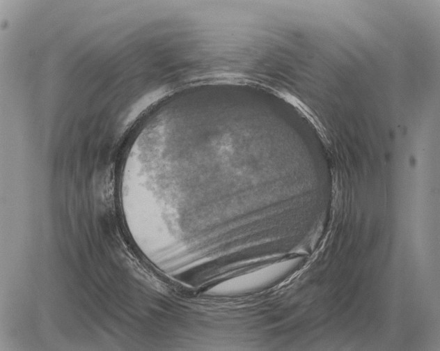 X0000081591450200702051252