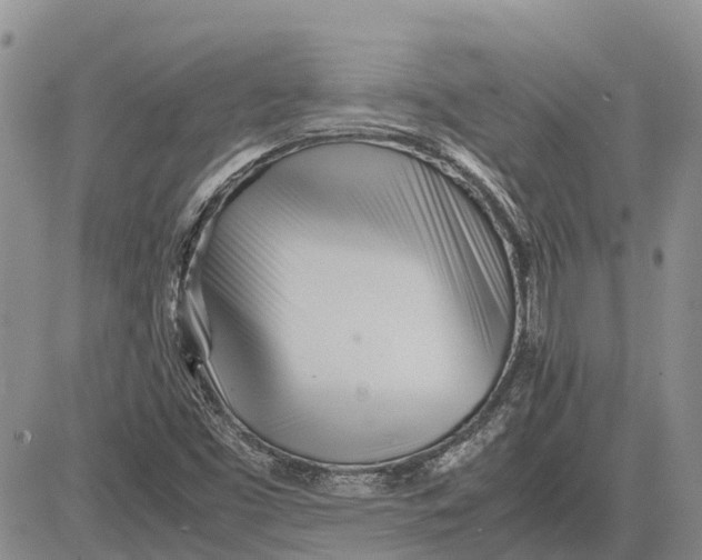 X0000081591453200702051252
