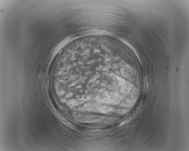 X0000081591467200702051252