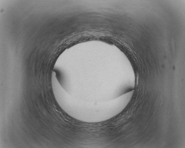 X0000081591492200702051251