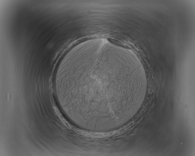 X0000081590002200702121526