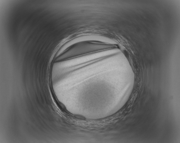 X0000081590003200702121526