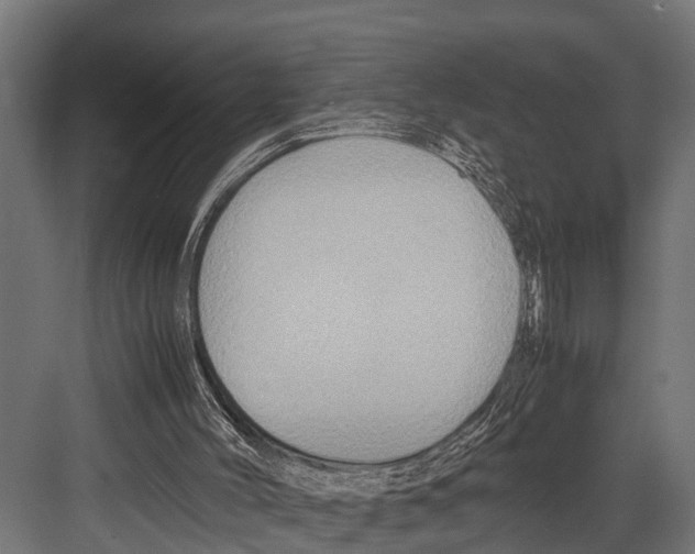 X0000081590004200702121526