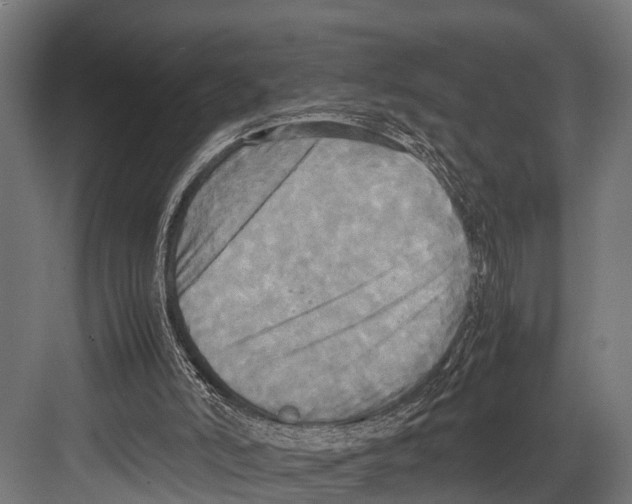 X0000081590006200702121526