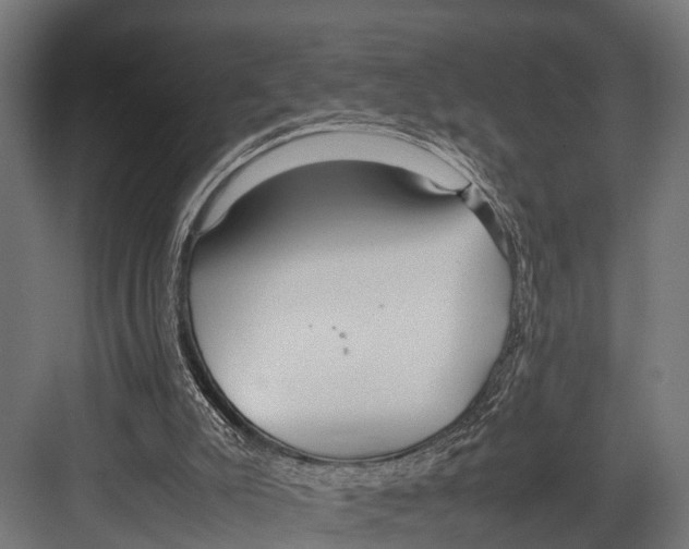 X0000081590007200702121526