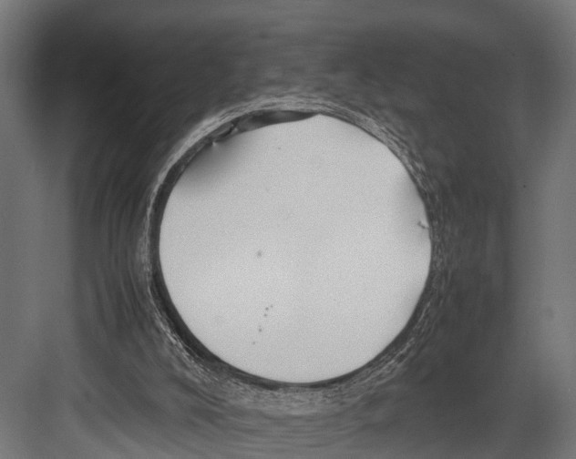 X0000081590008200702121526