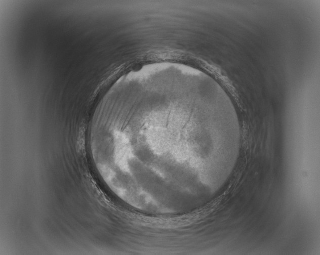 X0000081590010200702121526