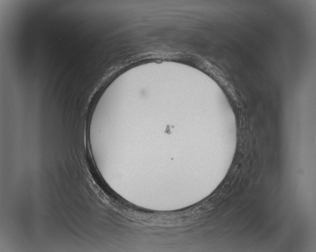 X0000081590011200702121526