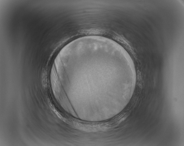 X0000081590012200702121526