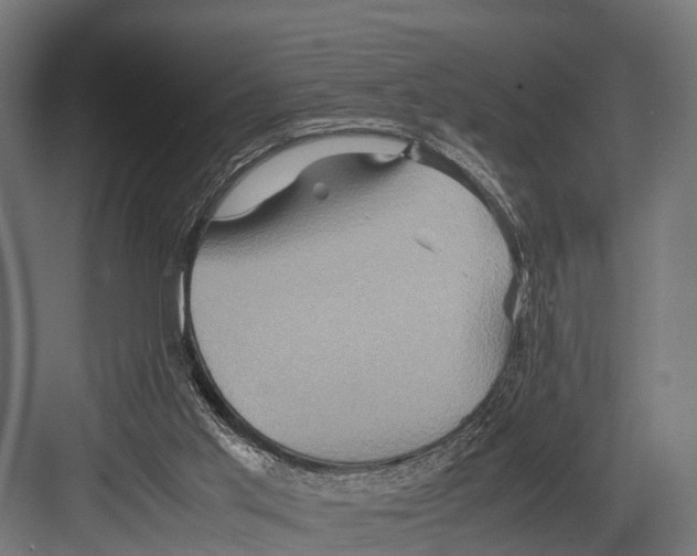 X0000081590013200702121526