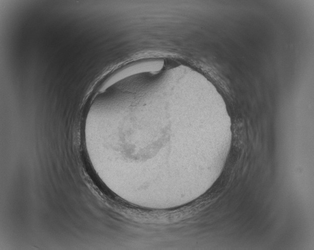 X0000081590015200702121526