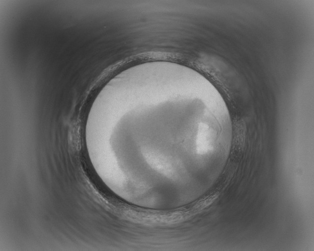 X0000081590016200702121526