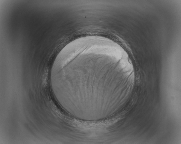 X0000081590018200702121526