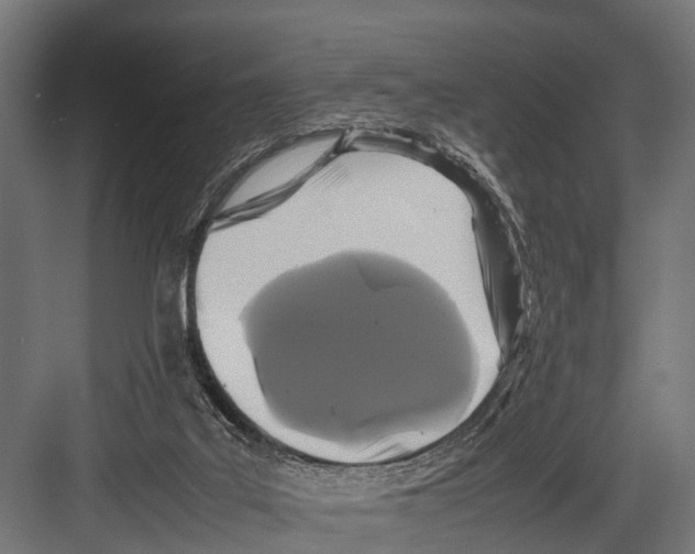 X0000081590019200702121526