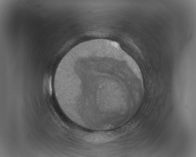 X0000081590020200702121526