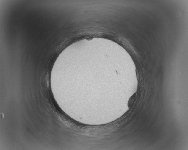 X0000081590021200702121526