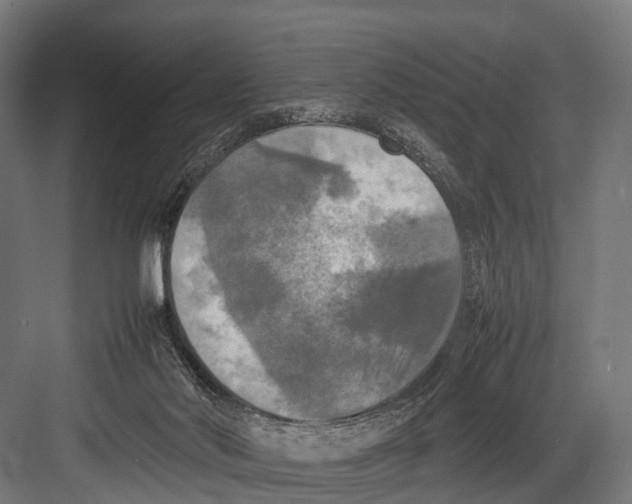 X0000081590022200702121526