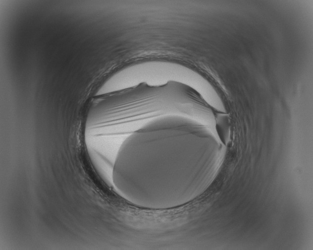 X0000081590023200702121526