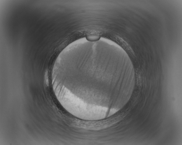 X0000081590026200702121526