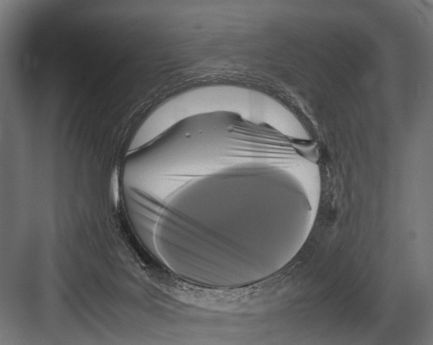 X0000081590027200702121526