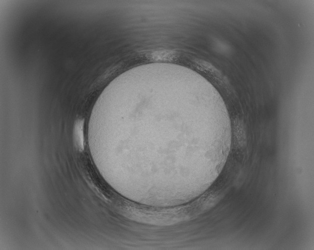 X0000081590028200702121526