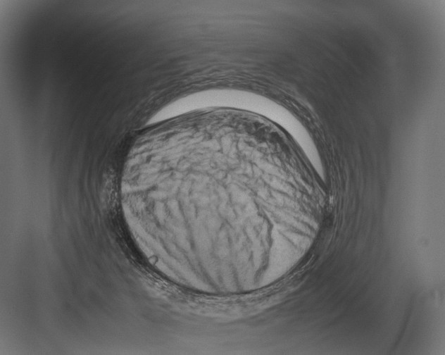 X0000081590029200702121525