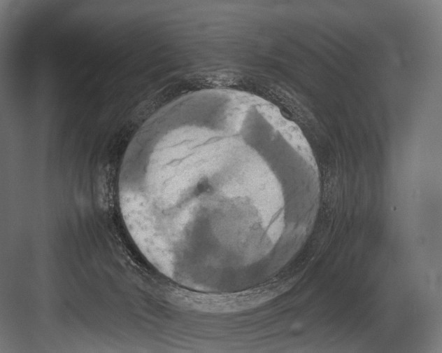 X0000081590030200702121525