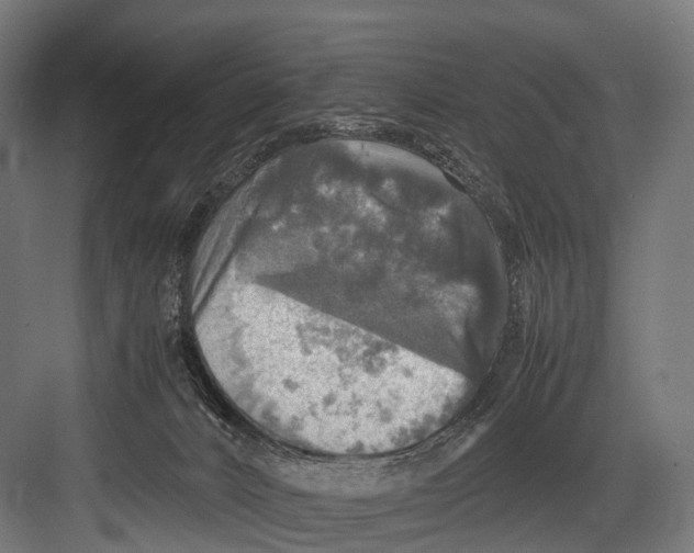 X0000081590032200702121525