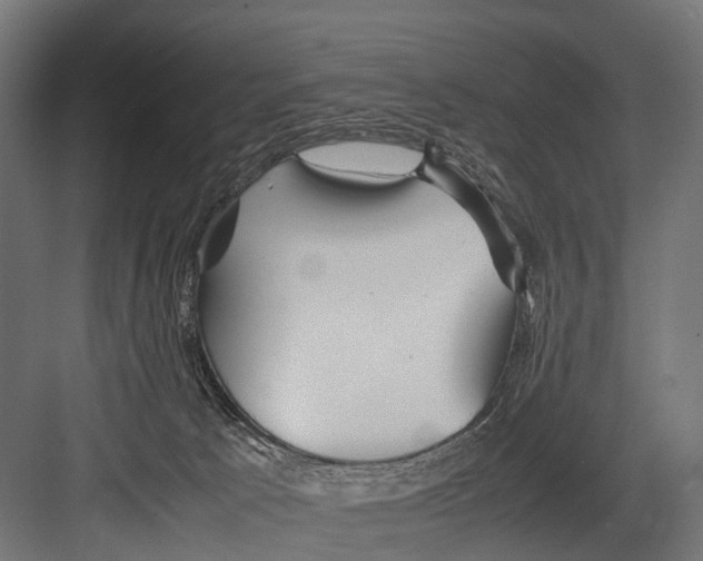 X0000081590033200702121525