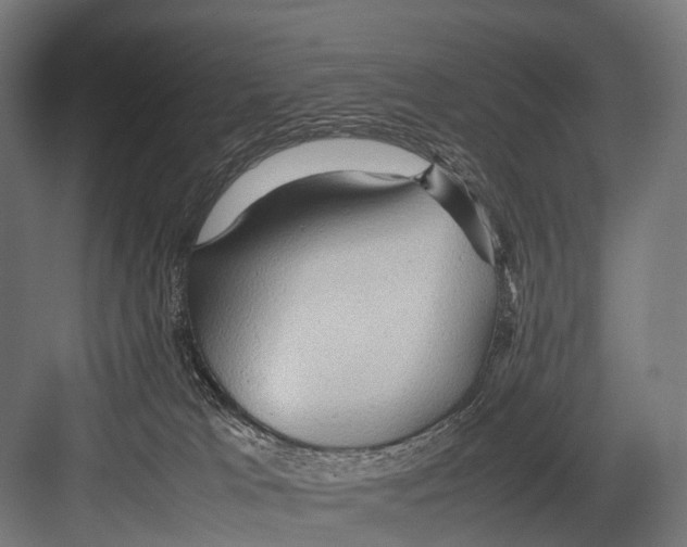 X0000081590037200702121525