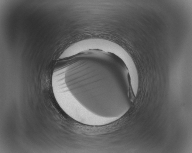 X0000081590039200702121525