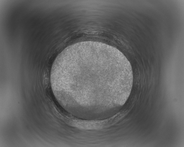 X0000081590040200702121525