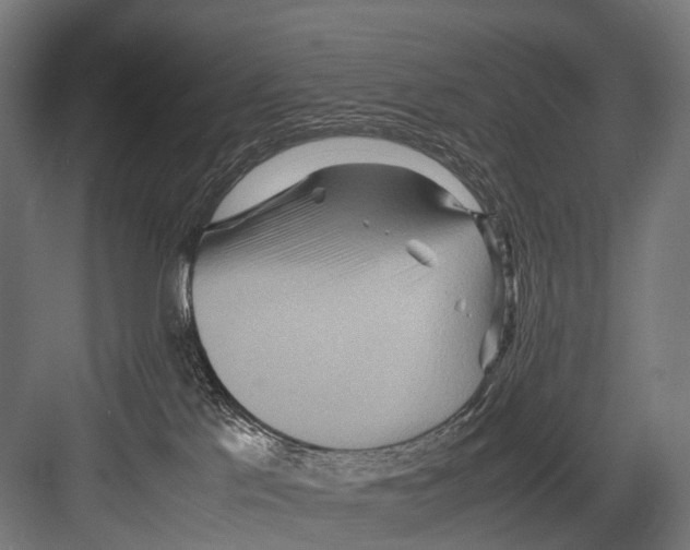 X0000081590041200702121525