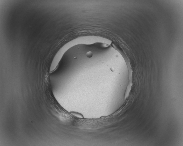 X0000081590045200702121525