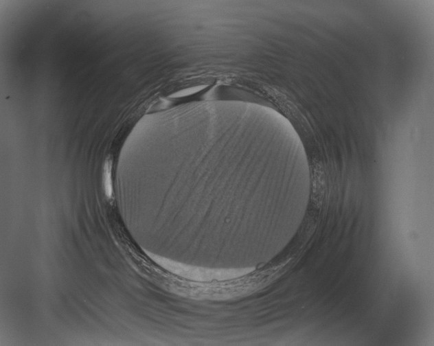 X0000081590046200702121525