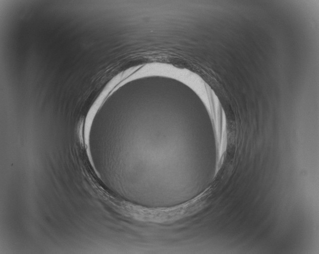 X0000081590047200702121525