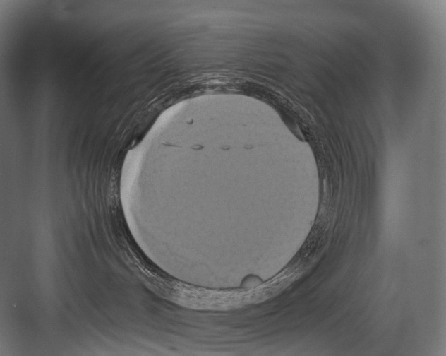 X0000081590048200702121525