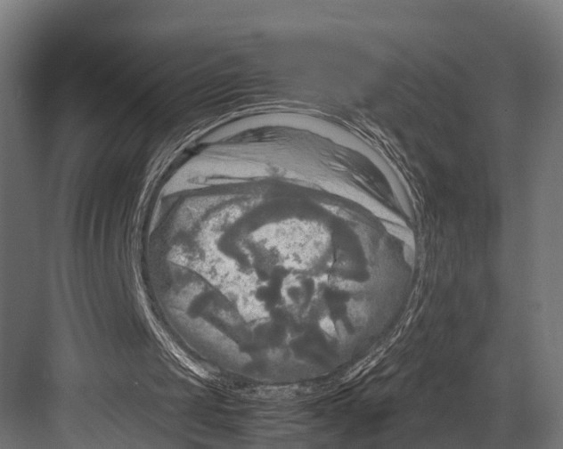 X0000081590049200702121524