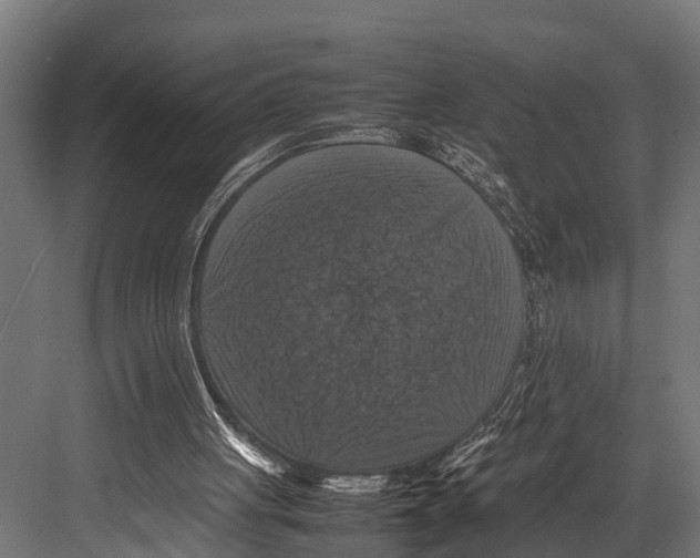 X0000081590051200702121524